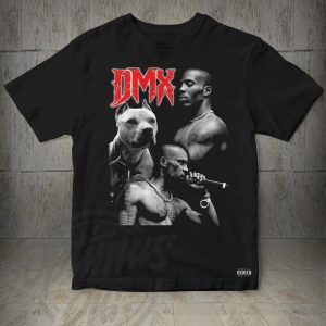 DMX Cod006